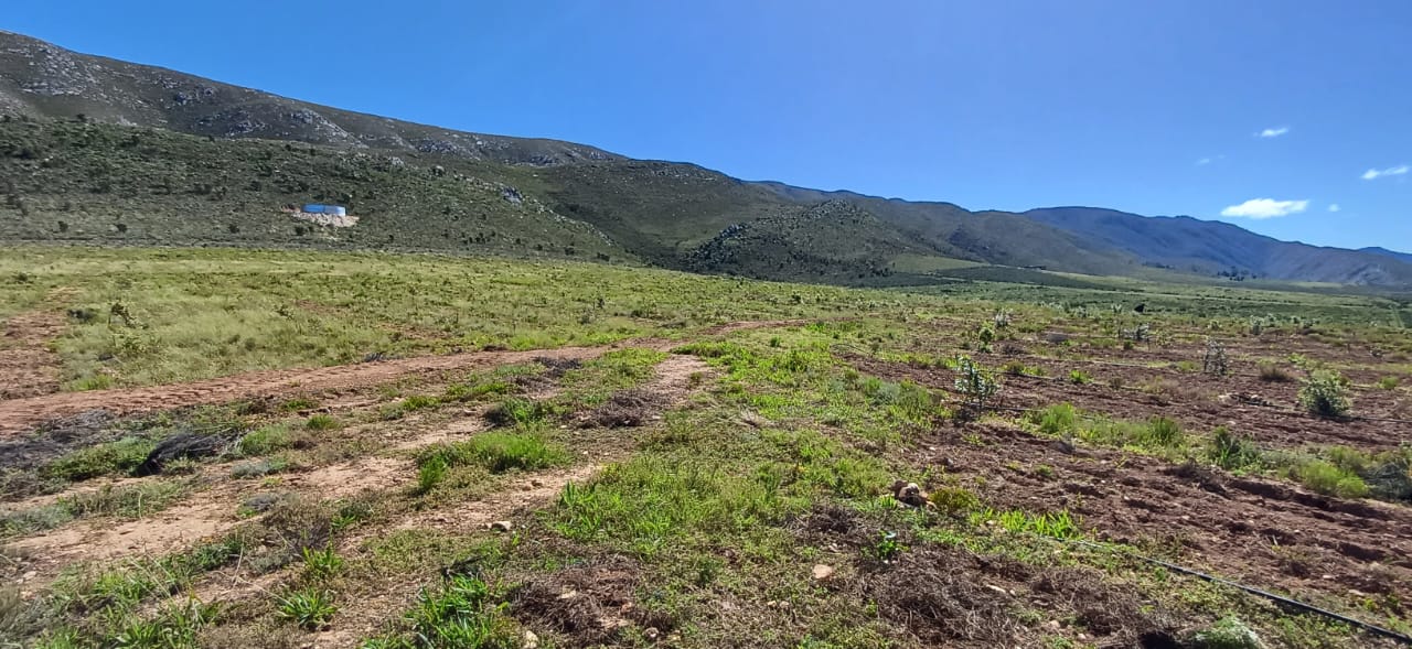 Commercial Property for Sale in George Rural Western Cape